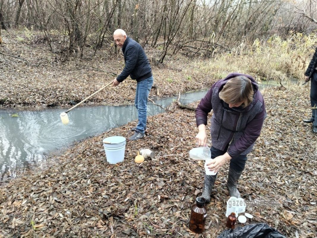 Жители Мучкапского обеспокоены состоянием воды в местной речке