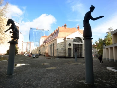 Пенсии для неработающих воронежцев и отравление грибами. Главные новости Воронежа и области за 30 октября