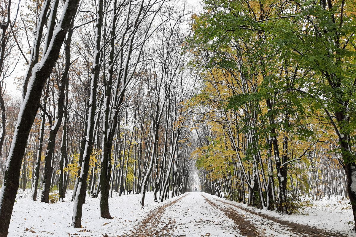 Не совсем норма. Синоптики удивили жителей Воронежа прогнозом погоды на ноябрь&nbsp;