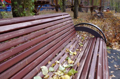 Синоптики рассказали о погоде в Воронежской области в ноябре 