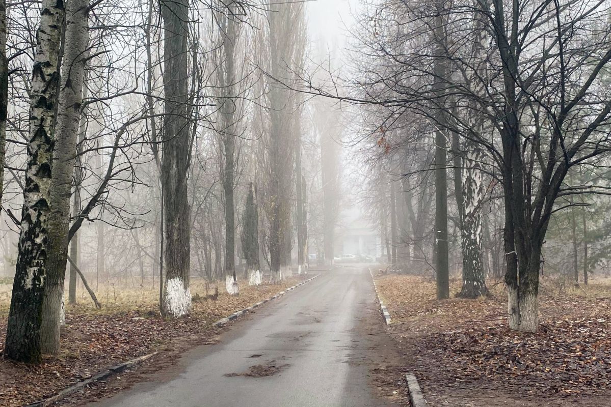Труп под окнами многоэтажки и сбитый БПЛА. Главные новости Воронежа и области за 31 октября