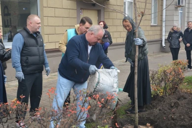 Воронежские депутаты посадили клёны у парка «Орлёнок»