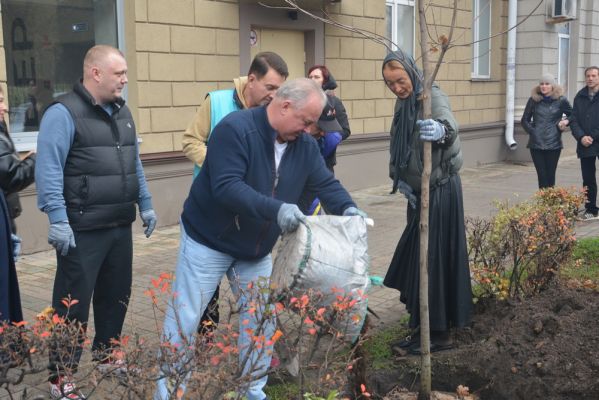 Воронежские депутаты посадили клёны у парка «Орлёнок»