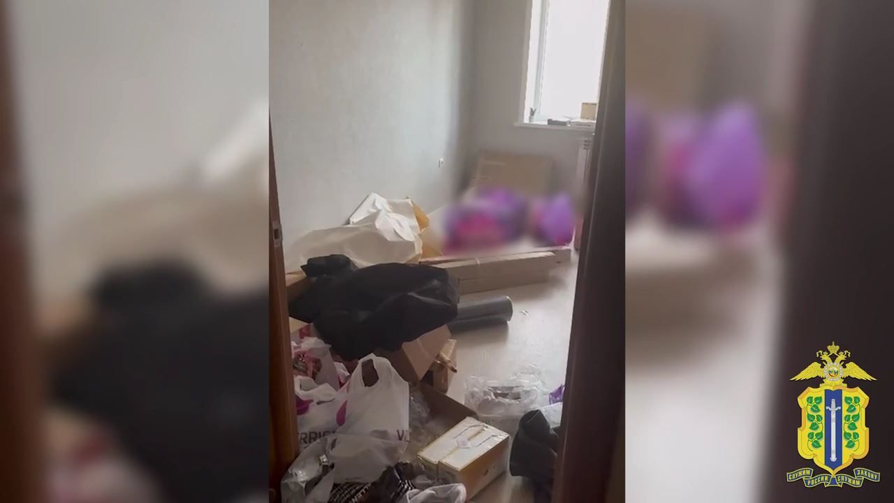 «Схема возврата»: в Липецке сотрудницы пункта выдачи популярного маркетплейса похитили товаров на 3,2 млн рублей