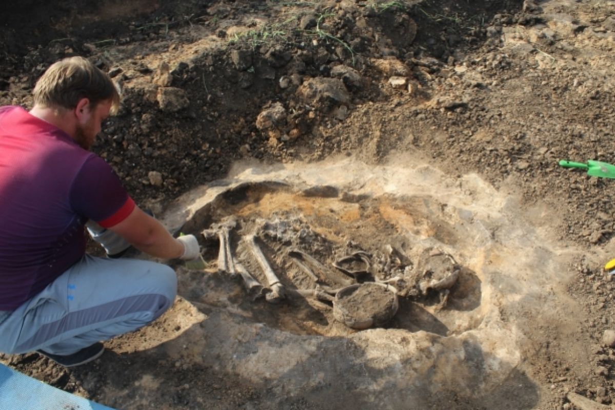 Древние захоронения возрастом более 3 тысяч лет нашли в Воронежской области