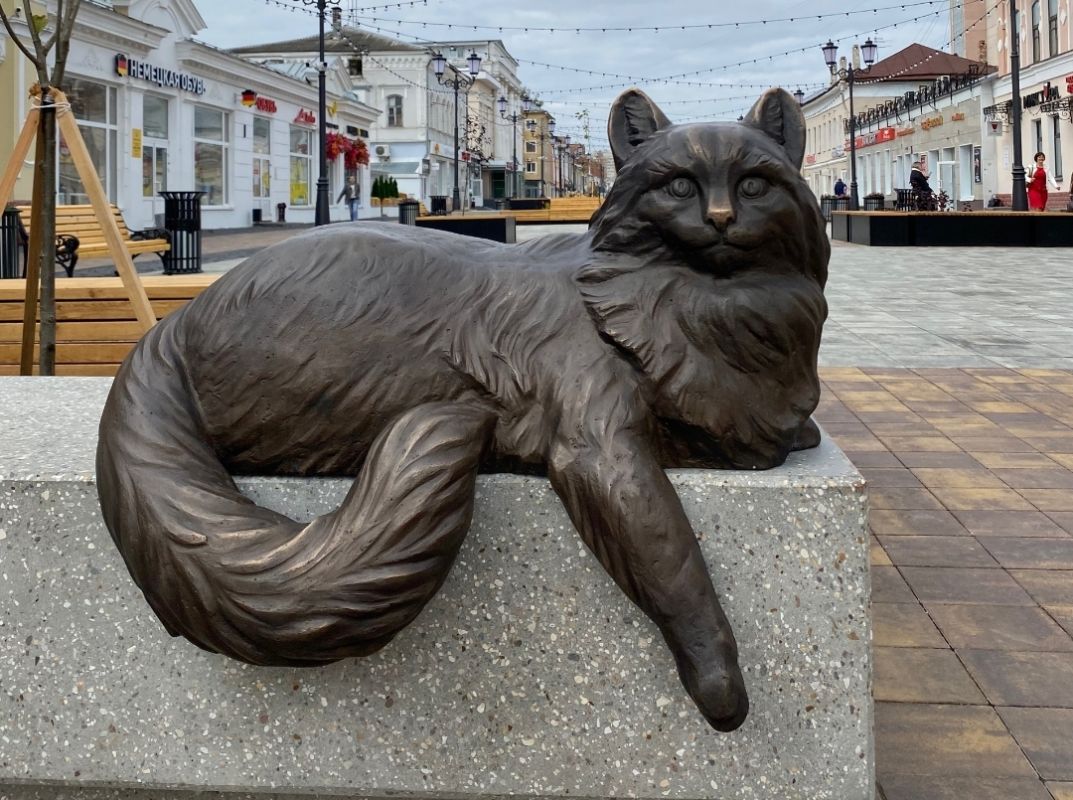 Тамбовского вандала задержали на 15 суток