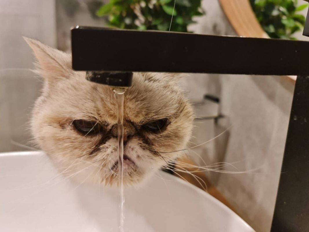 Жители центра Липецка будут лишены возможности пользоваться водой 2 ноября