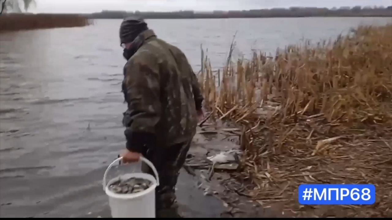 Мальков сазана запустили в Челнавское водохранилище