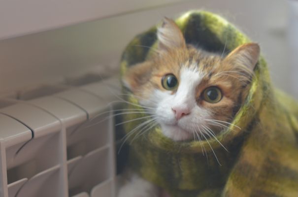 Ледяные батареи в домах воронежцев прокомментировали коммунальщики