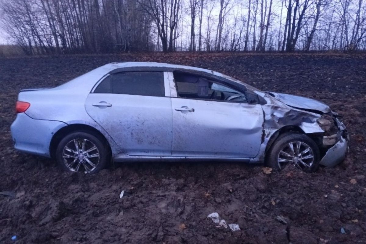 Автомобиль перевернулся на трассе в Ржаксинском округе