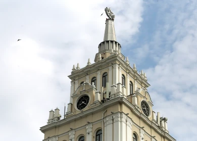 Авария в центре и массовая гибель птиц. Главные новости Воронежа и области за 3 ноября 