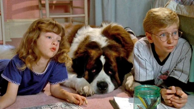 Верные до слёз. Шесть трогательных фильмов о братьях наших меньших 