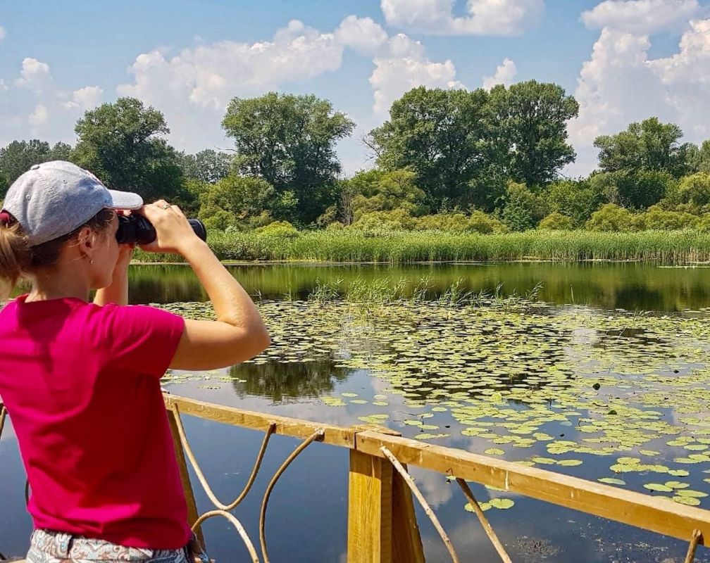 Четыре тамбовских автомобильных маршрута вышли в финал всероссийской премии