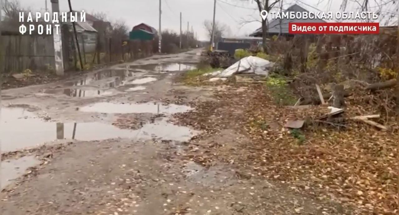 Тамбовские дачники жалуются на «непроходимые» дороги