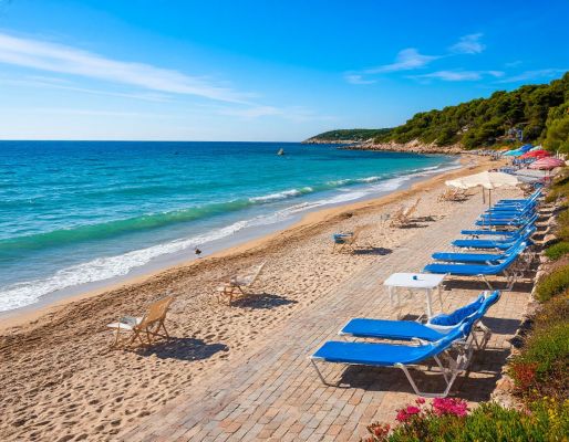 Курский рецидивист украл полмиллиона рублей на курортный отдых