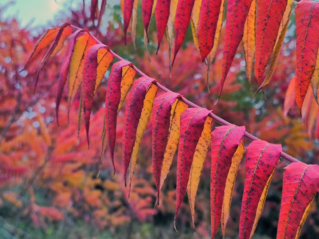 Прогноз погоды в&nbsp;Воронеже на&nbsp;пятницу, 7 ноября