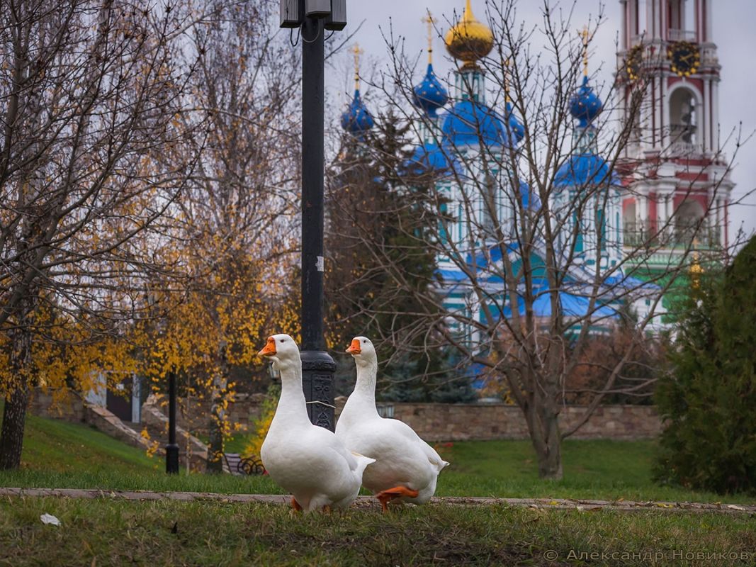 В День холодца в Тамбове тепло и пасмурно