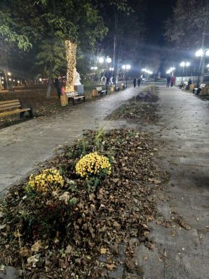 Куряне посоветовали Хинштейну обратить внимание на заброшенность главного парка города