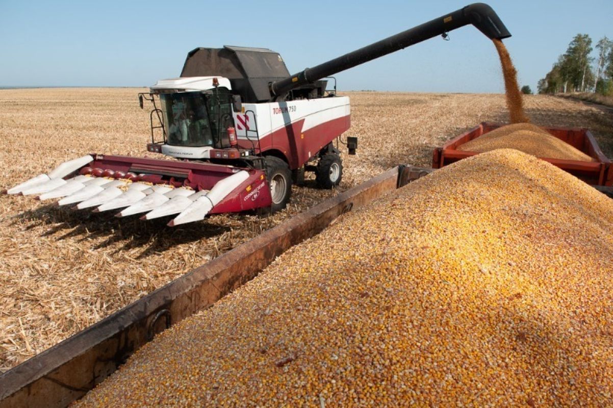 Первышов: Всегда с гордостью говорю об успехах наших аграриев