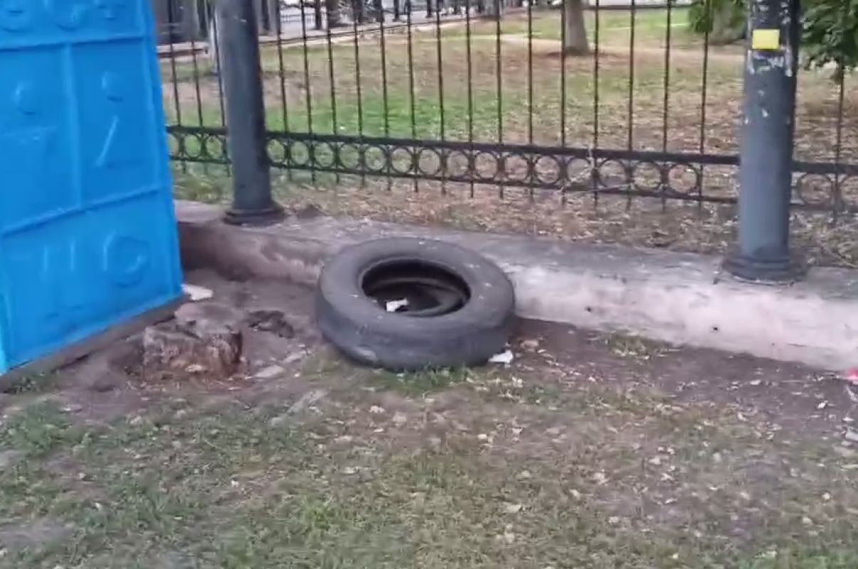 Крысы оккупировали сквер у&nbsp;ж/д вокзала в&nbsp;центре Воронежа (ВИДЕО)