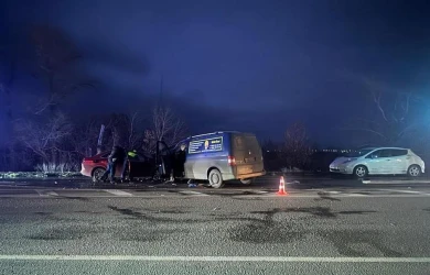 Водитель погиб в жёстком лобовом ДТП с микроавтобусом под Воронежем 