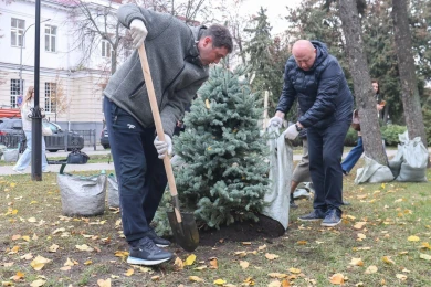 Мэр Сергей Петрин присоединился к посадке деревьев в центре Воронежа  