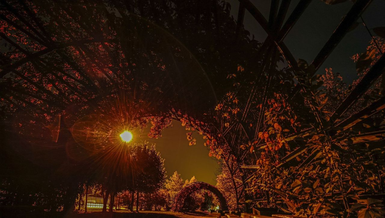 Облачная погода ожидает тамбовчан в День пианиста