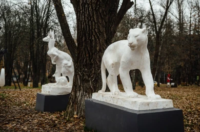 В парке Пионеров в Курске временно закрыты туалеты из-за действий вандалов