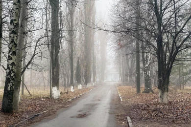 Прогноз погоды в Воронеже на понедельник, 10 ноября