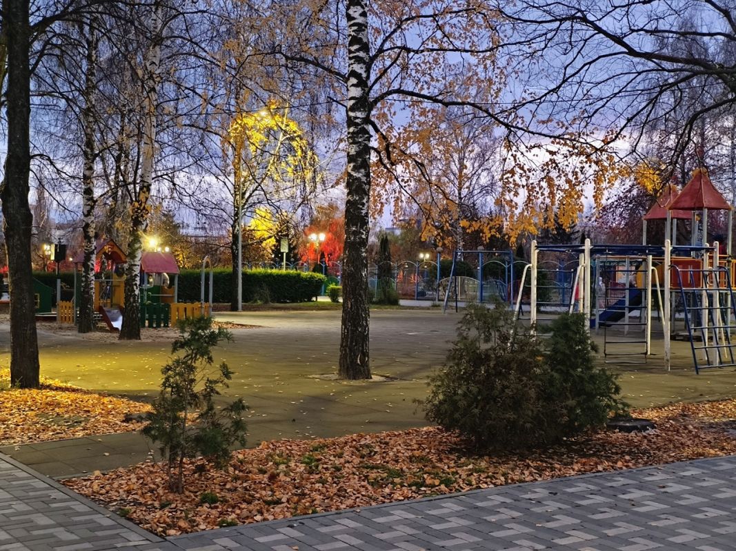 В День полиции &nbsp;в Тамбове ожидается переменная облачность