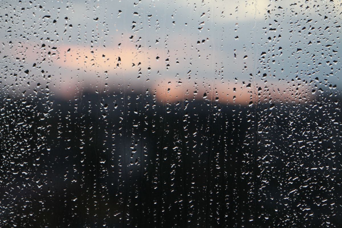 И снова ливни. Какая погода будет в Воронеже на рабочей неделе