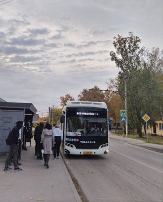 Жители Белгородской области столкнулись с хаосом в расписании пригородных автобусов