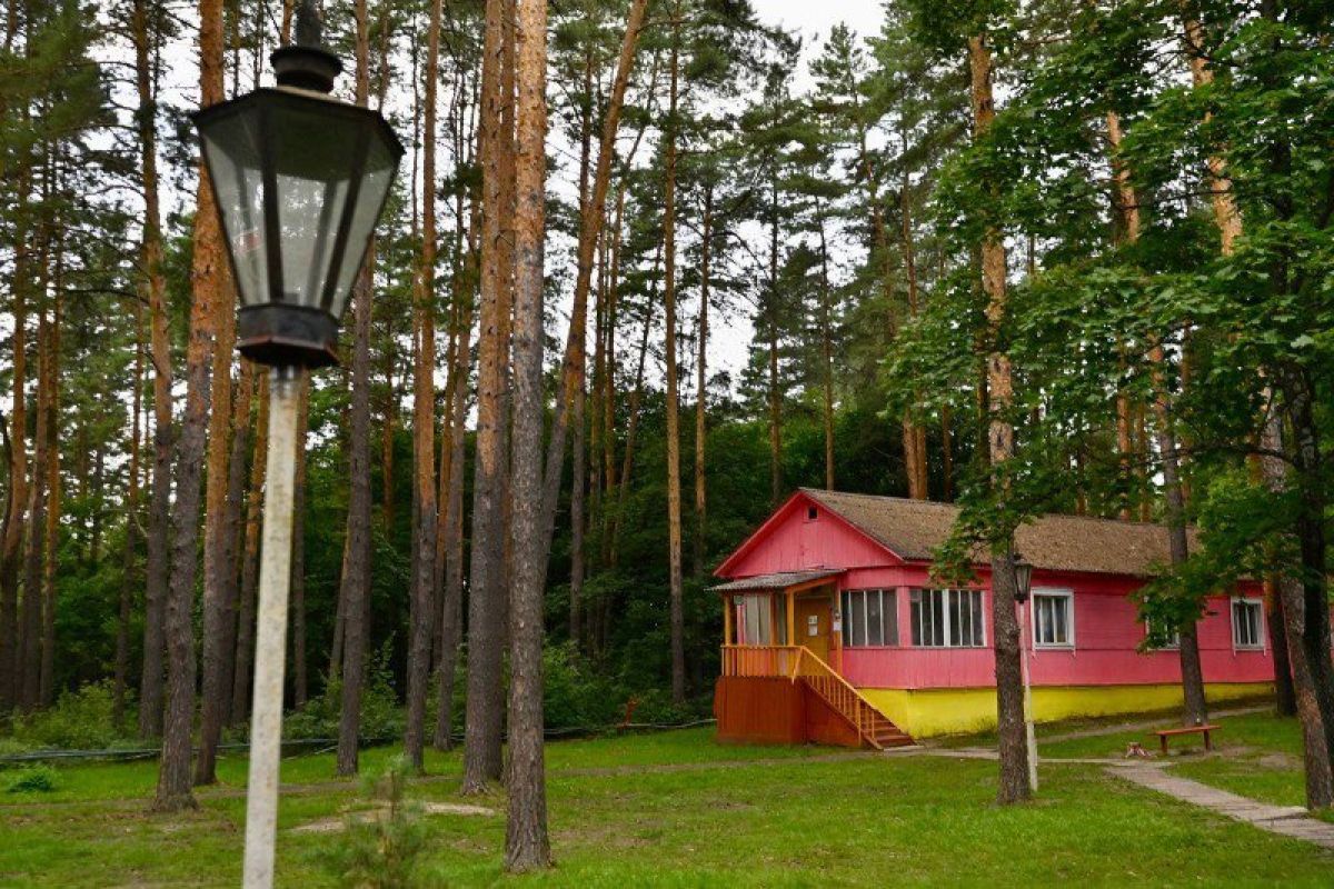 План по восстановлению детских лагерей разработают в Тамбовской области