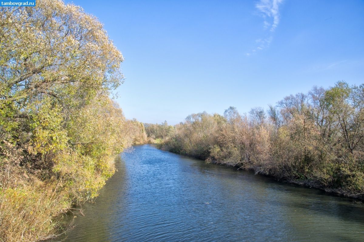 Мужчина утонул в Моршанском округе
