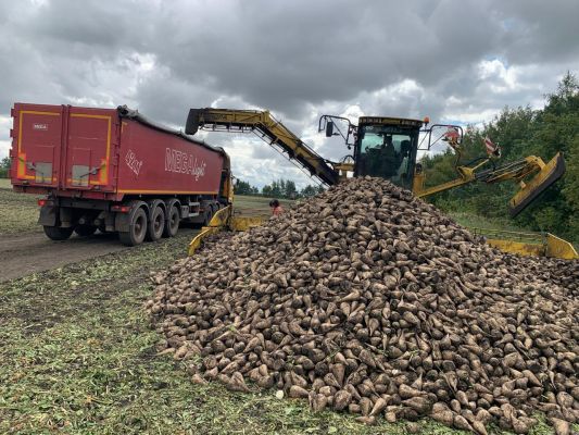 Тамбовские аграрии завершили уборку свёклы на 81%