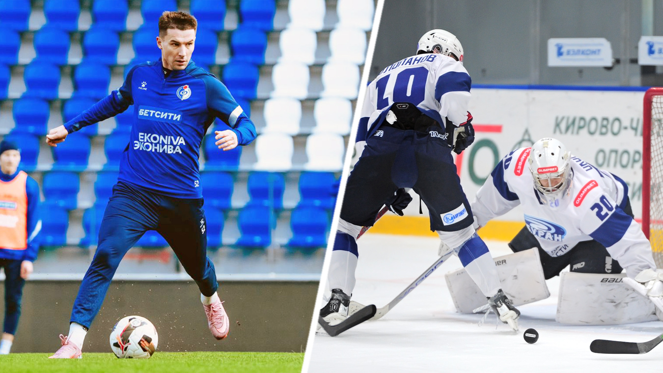 Мяч и шайба