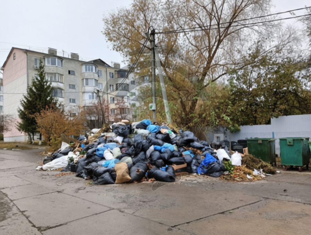 Мусорные баррикады: стихийная свалка на улицах парализовала жизнь белгородского поселка