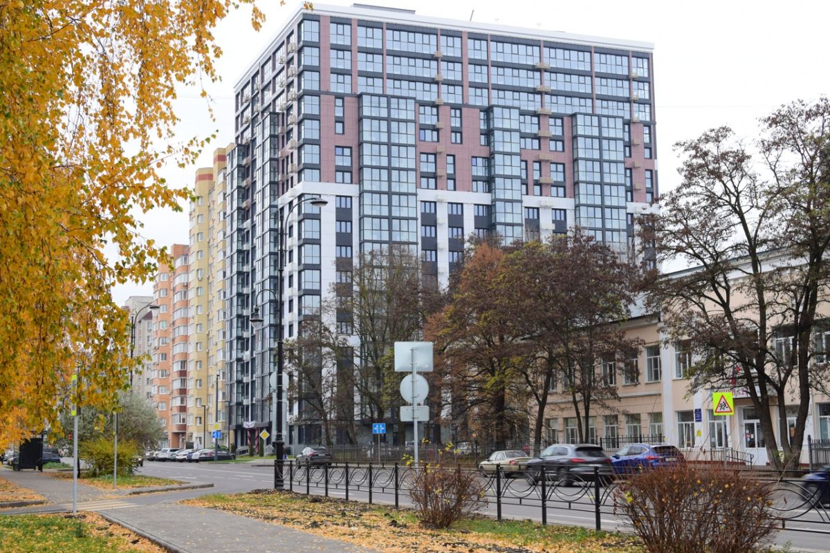 В День экономиста в Тамбове будет облачно, к вечеру возможен дождь