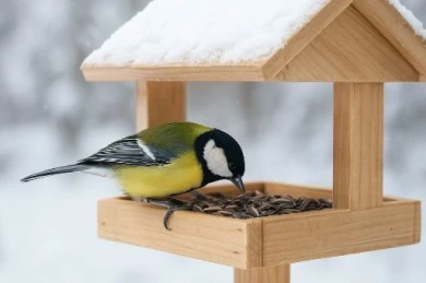 Синичкин день: от народных традиций к экологическому смыслу