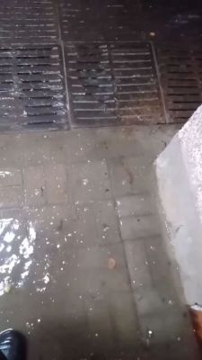 «По щиколотку воды»: подземный переход на «Соколе» в Белгороде вновь затопило после дождей