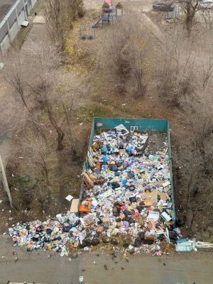 Четыре воронежские УК не могут разобраться с головокружительно огромной кучей мусора 