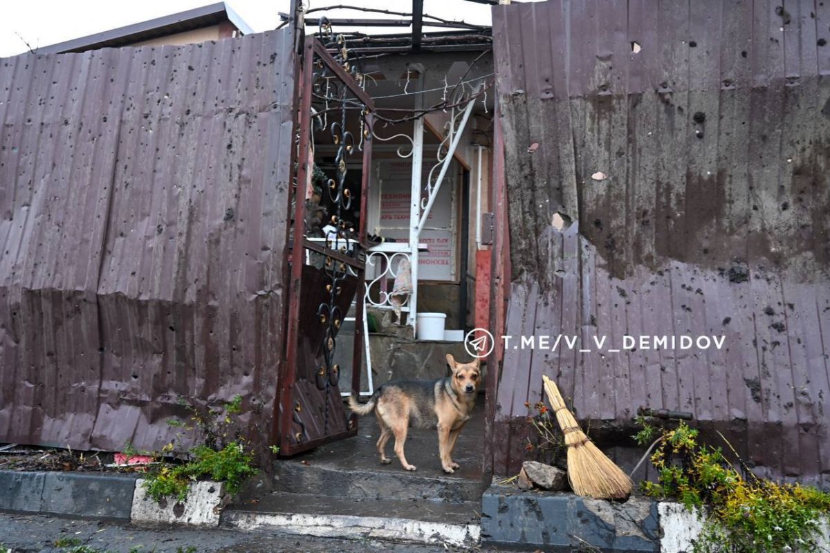 Коммунальные службы до сих пор устраняют последствия вчерашней атаки дронов на Белгород