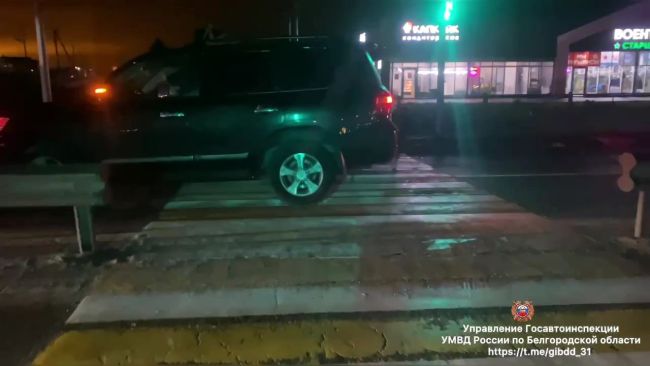 Трое детей пострадали под колесами иномарки на пешеходном переходе в Белгородской области