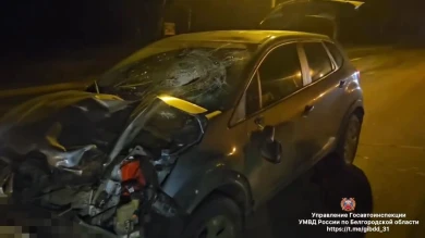 Смертельный наезд: на зебре в Белгородской области автомобиль сбил насмерть 70-летнего пенсионера