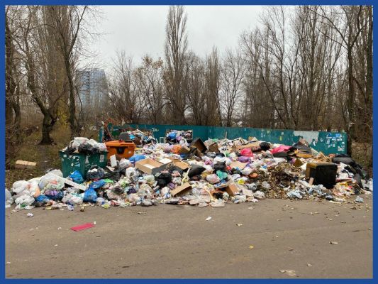 Стала известна судьба колоссальной мусорной кучи, которая поглощала дорогу в Воронеже 