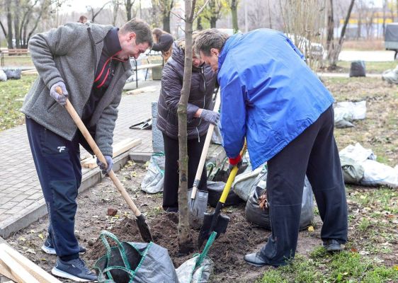 Мэр помог высадить деревья ещё в одном районе Воронежа 