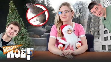 Атака крыс, кого отшивают на свиданиях и фэшн-находка: новости Воронежа за неделю  