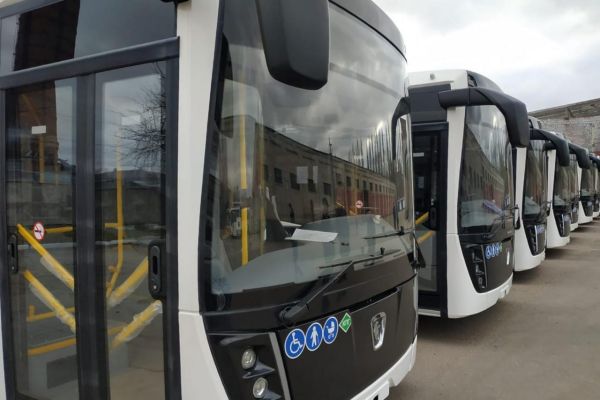43 дополнительных автобуса появятся в Воронежской области