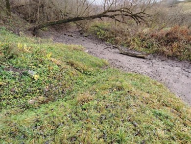 Экоактивисты бьют тревогу: река Кур, давшая имя Курску, стремительно мелеет