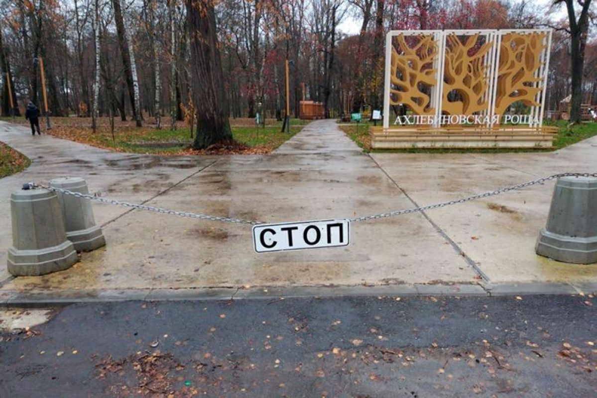 Проезд через Ахлябиновскую рощу в Тамбове запретили